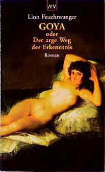Goya oder Der arge Weg der Erkenntnis. Roman