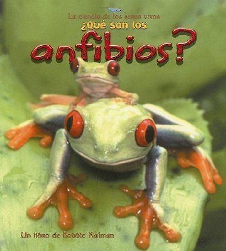 ¿Qué Son Los Anfibios? (What Is an Amphibian?)