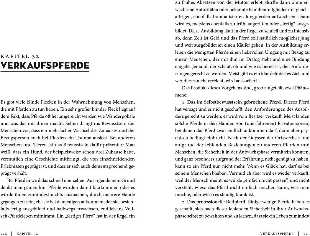 Das bunte Klavier. Lustige Kinderlieder