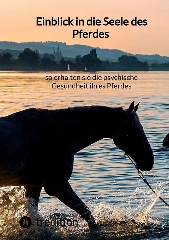 Einblick in die Seele des Pferdes – so erhalten sie die psychische Gesundheit ihres Pferdes