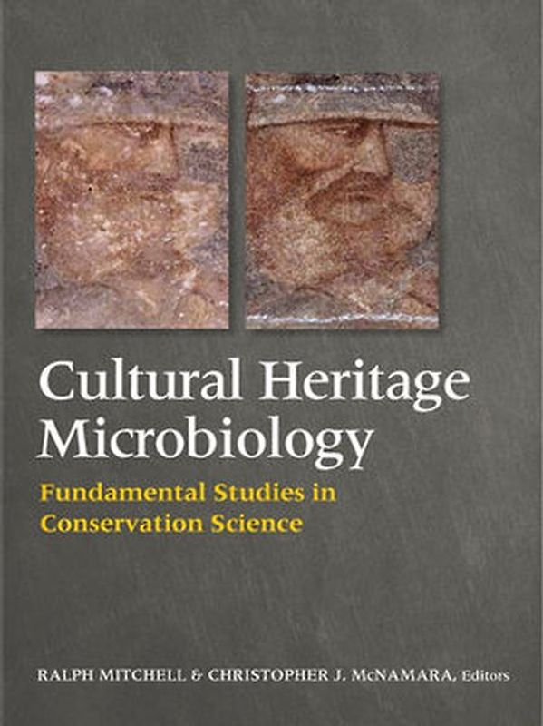 Microbial Deterioration and Conservation of Cultural Heritage Materials