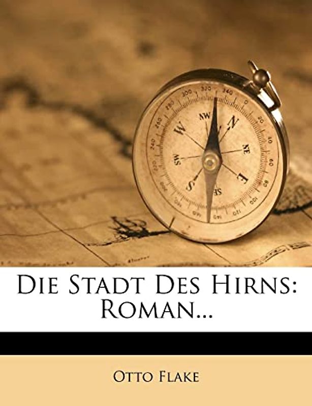 Die Stadt des Hirns, Roman von Otto Flake