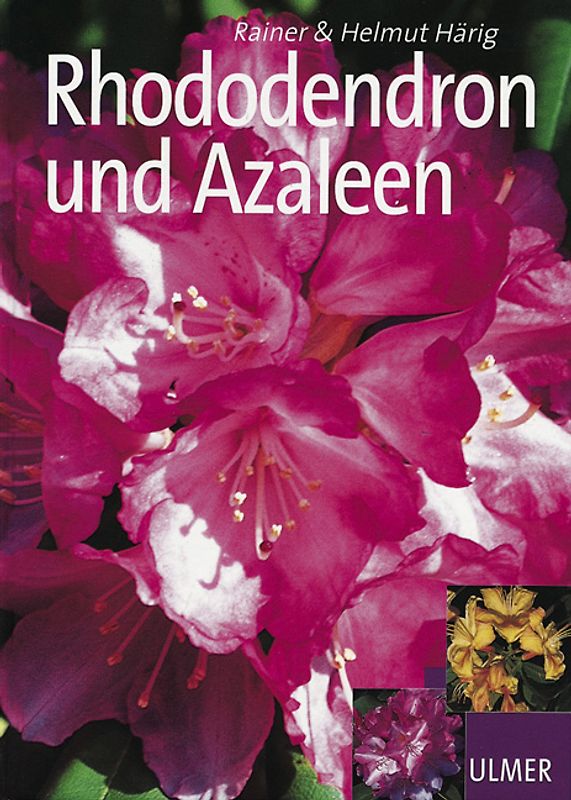 Rhododendron und Azaleen