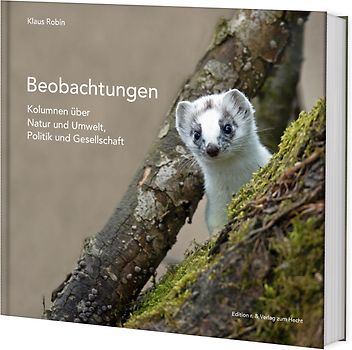 Beobachtungen