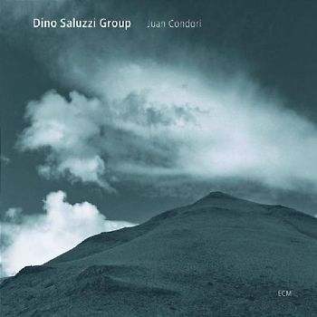Dino Group Saluzzi - Juan Condori
