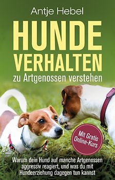 Hundeverhalten zu Artgenossen verstehen