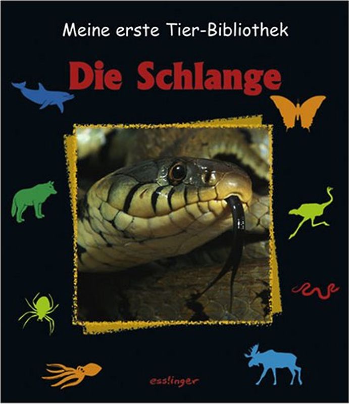 Die Schlange