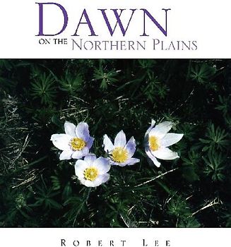 Dawn on the Northern Plains