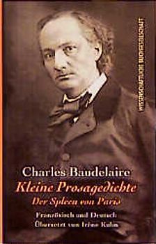 Kleine Prosageschichte