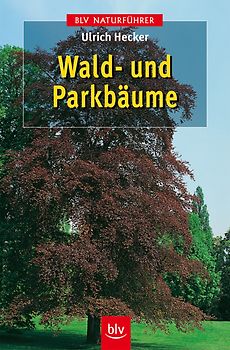 Wald- und Parkbäume