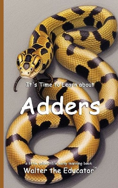 It's Time to Learn about Adders