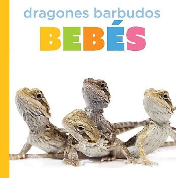 Dragones Barbudos Bebés