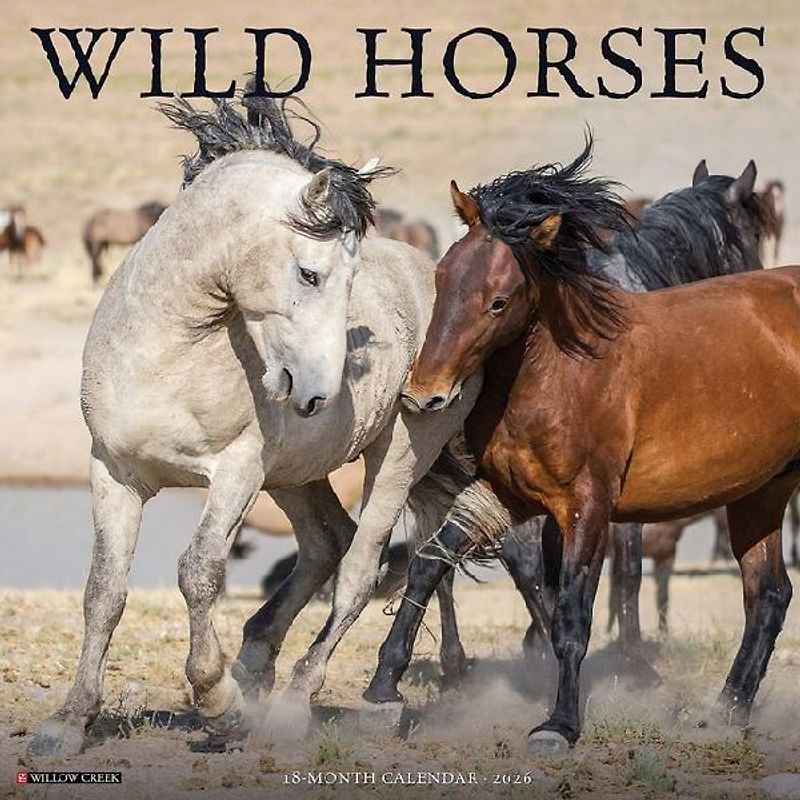 Wild Horses 2026 12 X 12 Wall Calendar