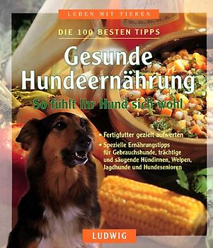 Gesunde Hundeernährung