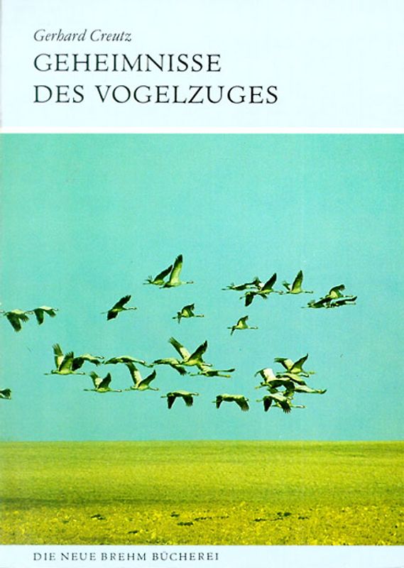 Geheimnisse des Vogelzuges