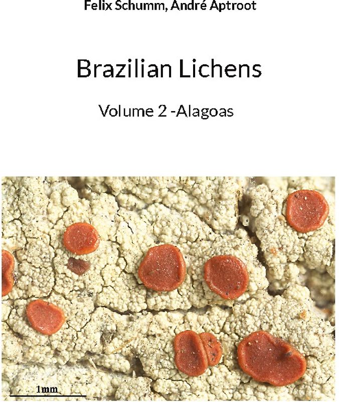 Brazilian Lichens