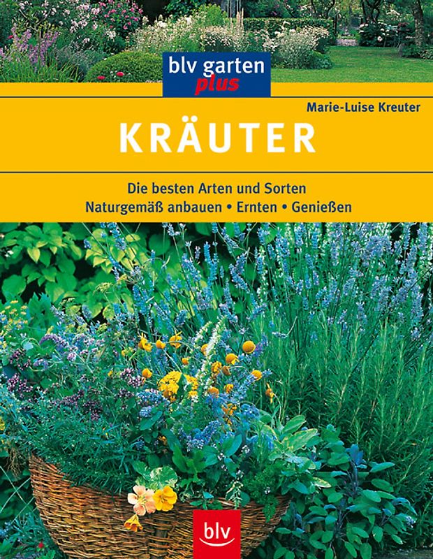 Kräuter