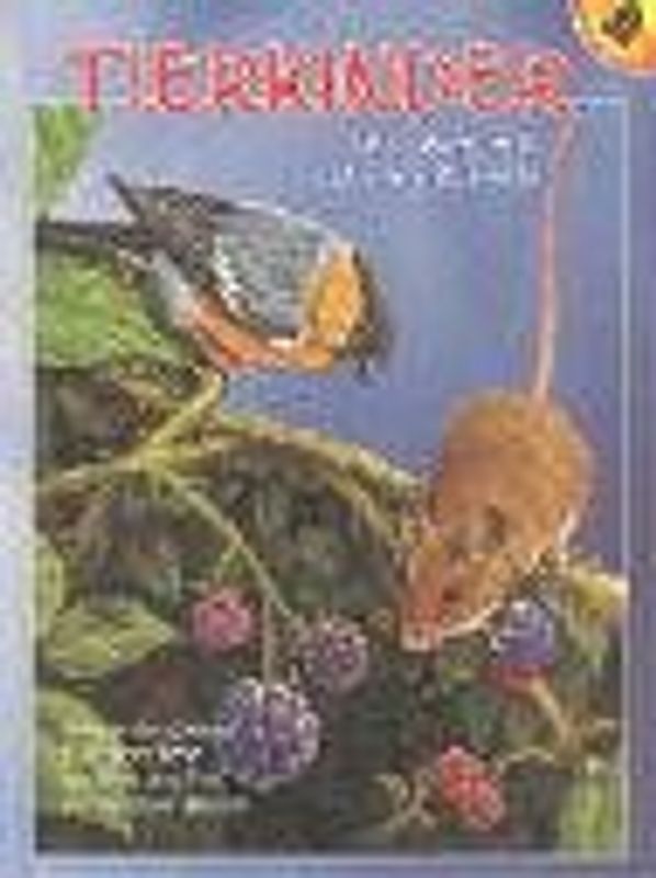 Tierkinder und was sie alles erleben