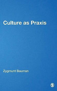 Culture as Praxis