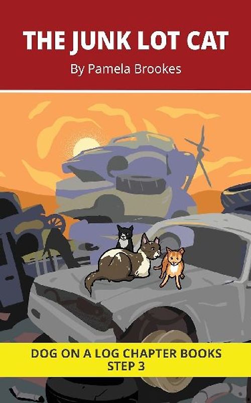 The Junk Lot Cat Chapter Book