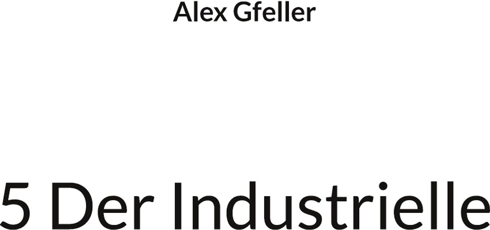 5 Der Industrielle