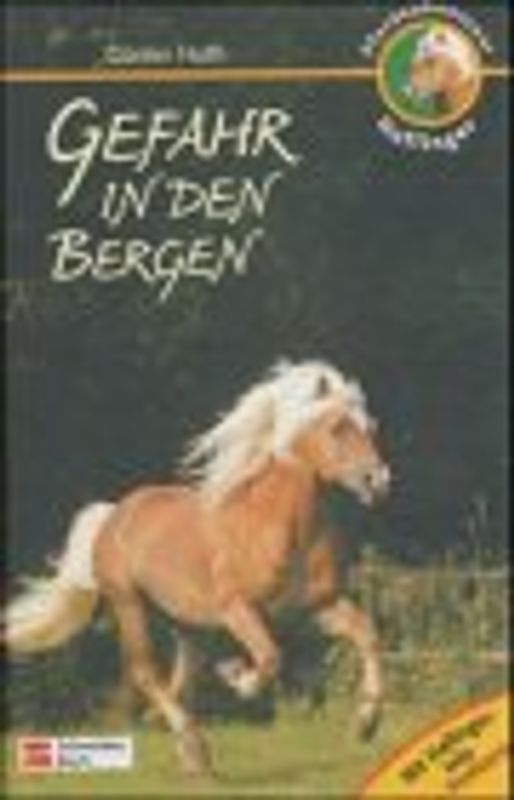 Pferdeabenteuer - Haflinger