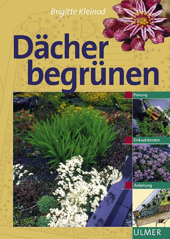 Dächer begrünen