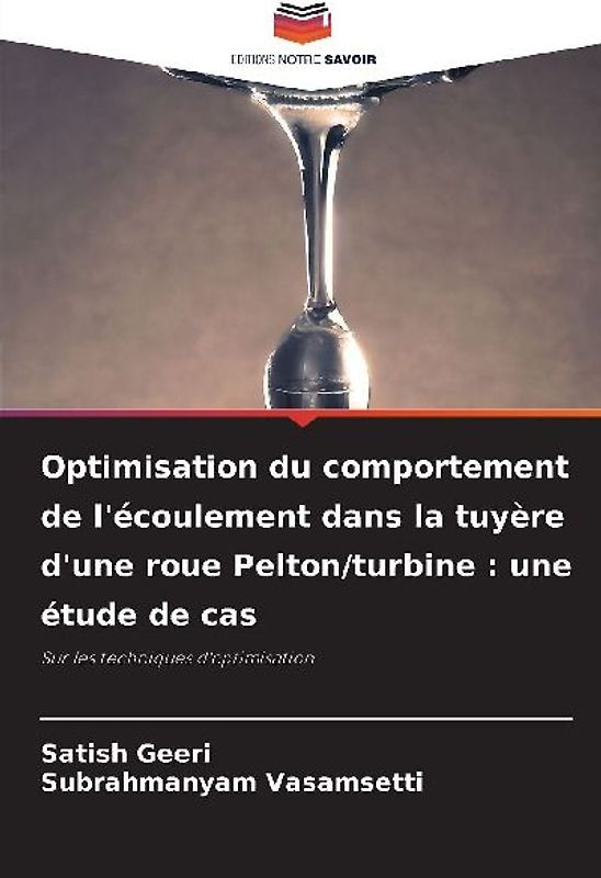 Optimisation du comportement de l'écoulement dans la tuyère d'une roue Pelton/turbine : une étude de cas