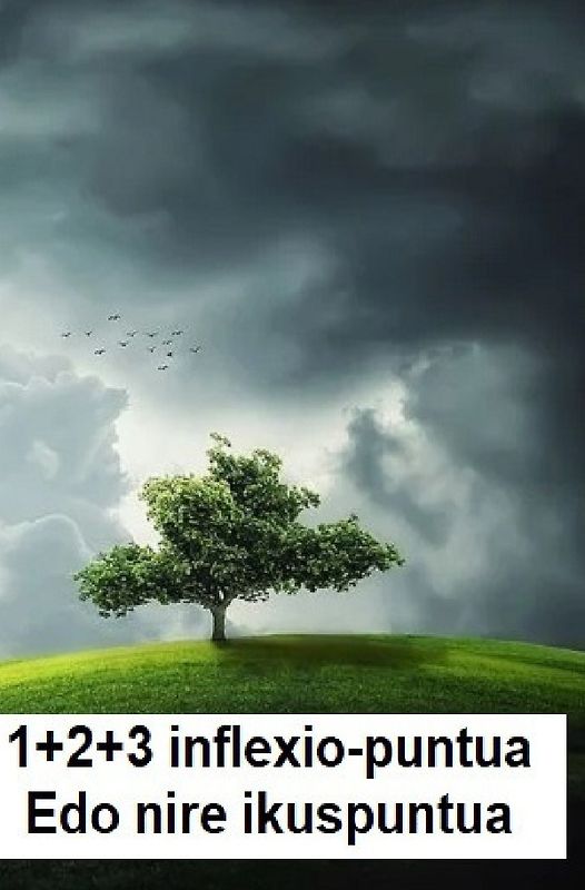 1+2+3 inflexio-puntua