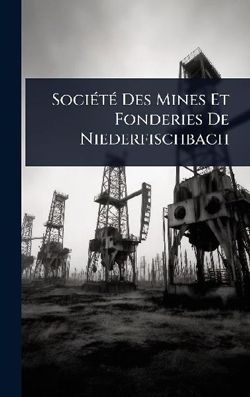 SociÃ(c)tÃ(c) Des Mines Et Fonderies De Niederfischbach