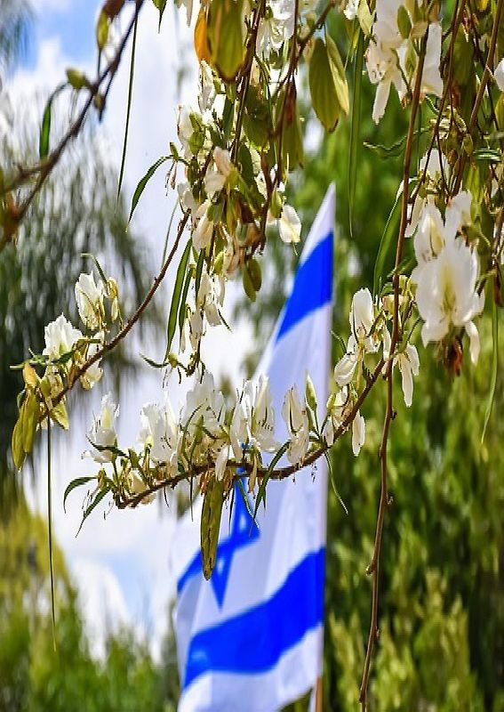 Die erste jüdische Republik