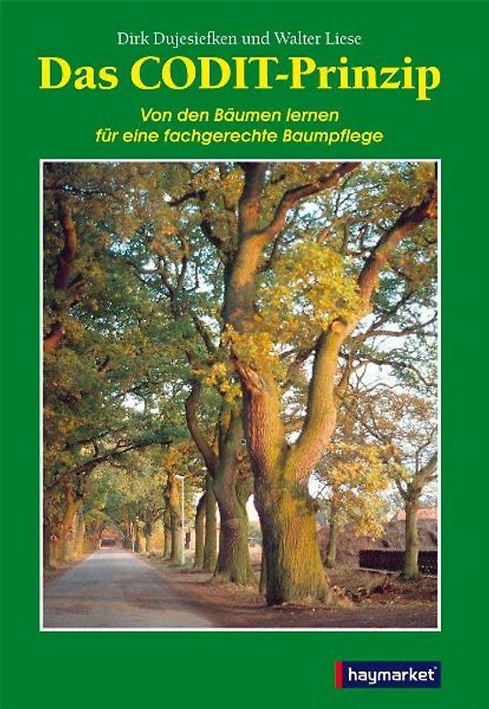 Das CODIT-Prinzip