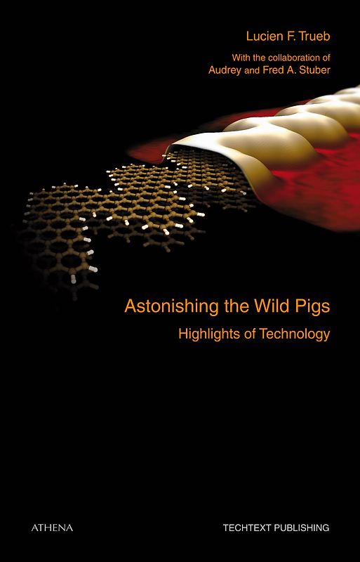 Astonishing the Wild Pigs