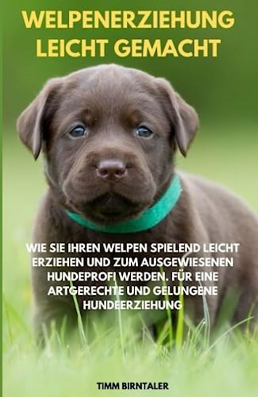 Welpenerziehung leicht gemacht. Wie Sie Ihren Welpen spielend leicht erziehen und zum ausgewiesenen Hundeprofi werden. Für eine artgerechte und gelungene Hundeerziehung
