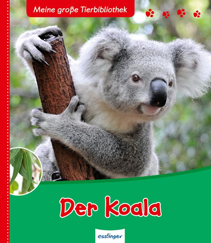 Meine große Tierbibliothek: Der Koala