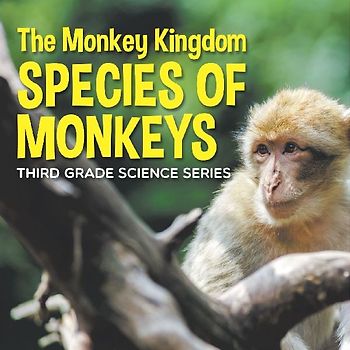 The Monkey Kingdom (Species of Monkeys)