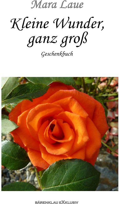 Kleine Wunder, ganz groß – Ein Geschenkbuch