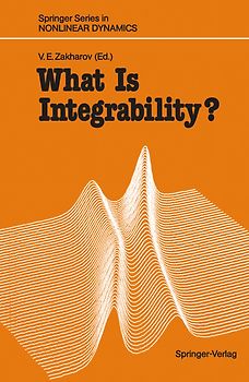 What Is Integrability?