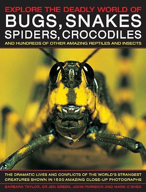 Explore the Deadly World of Bugs, Snakes, Spiders & Crocodiles