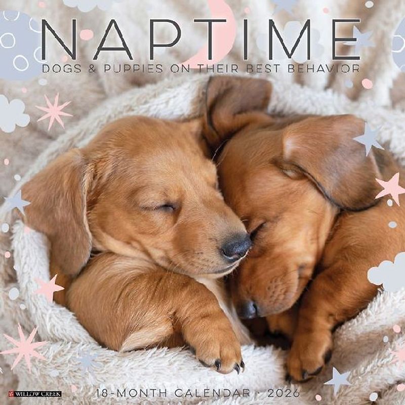 Naptime: Dogs & Puppies on Their Best Behavior 2026 12 X 12 Wall Calendar