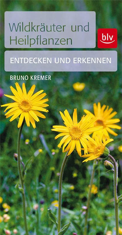 Wildkräuter & Heilpflanzen