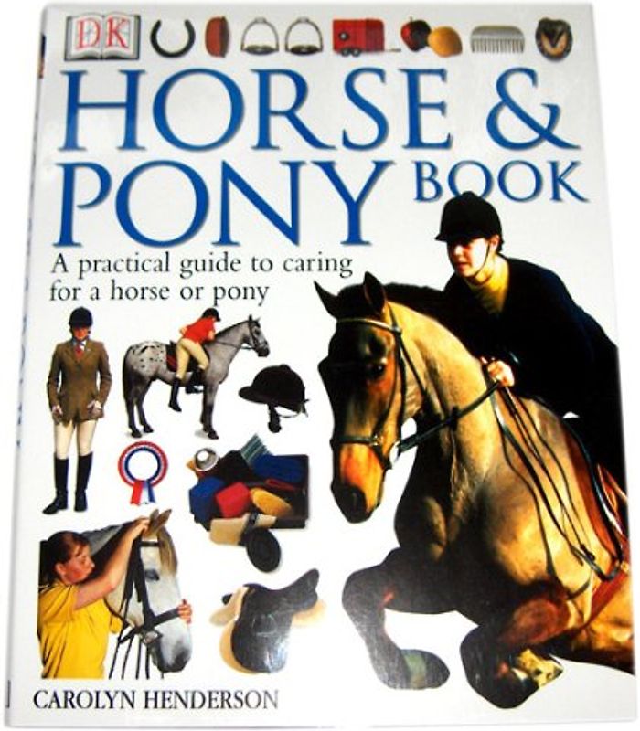 Horse and Pony Book: A Practical Guide to Caring for a Horse or Pony