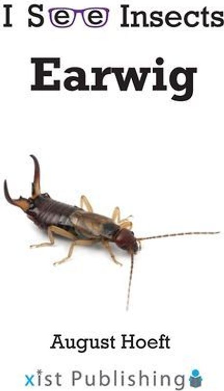Earwig
