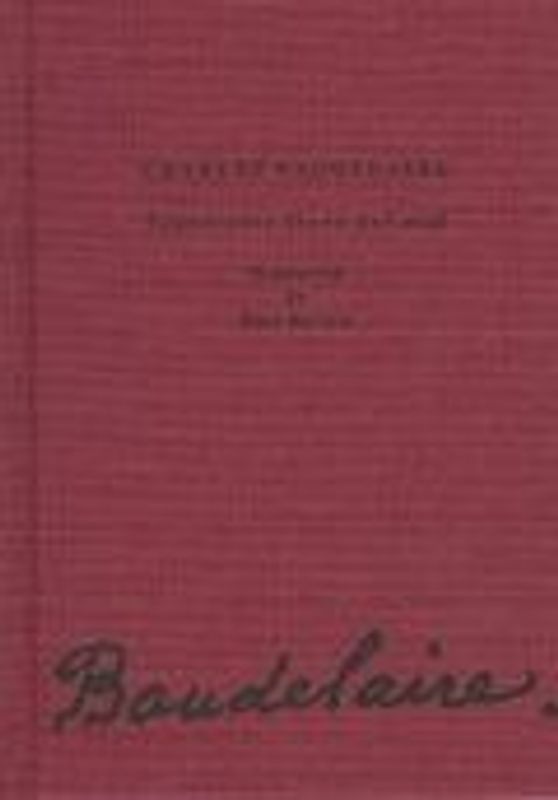 Vint-i-cinc flors del mal