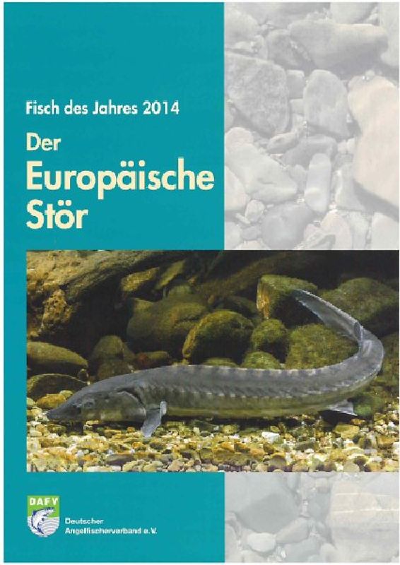 Der Europäische Stör