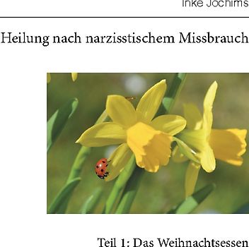 Heilung von narzisstischem Missbrauch