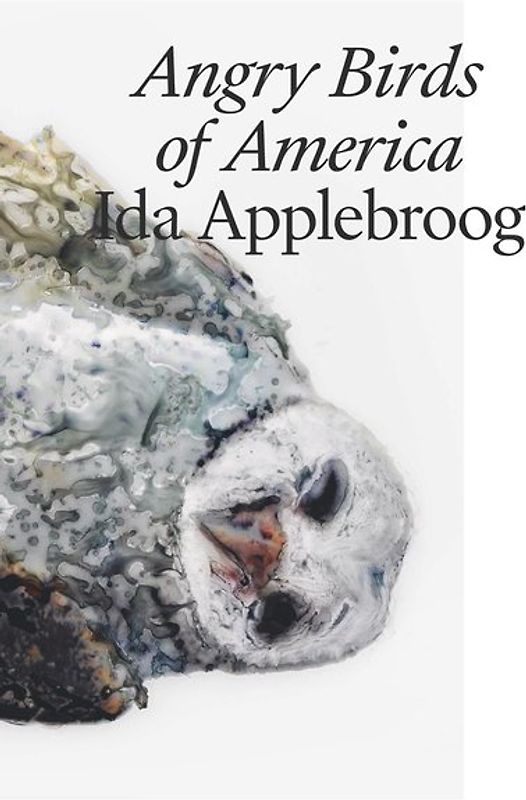 Ida Applebroog