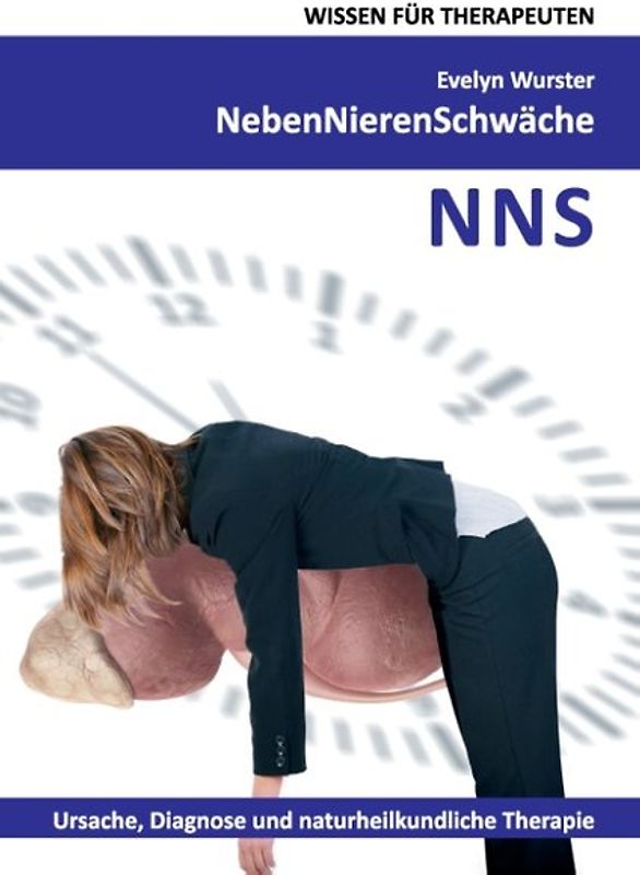 Nebennierenschwäche Wissen für Therapeuten