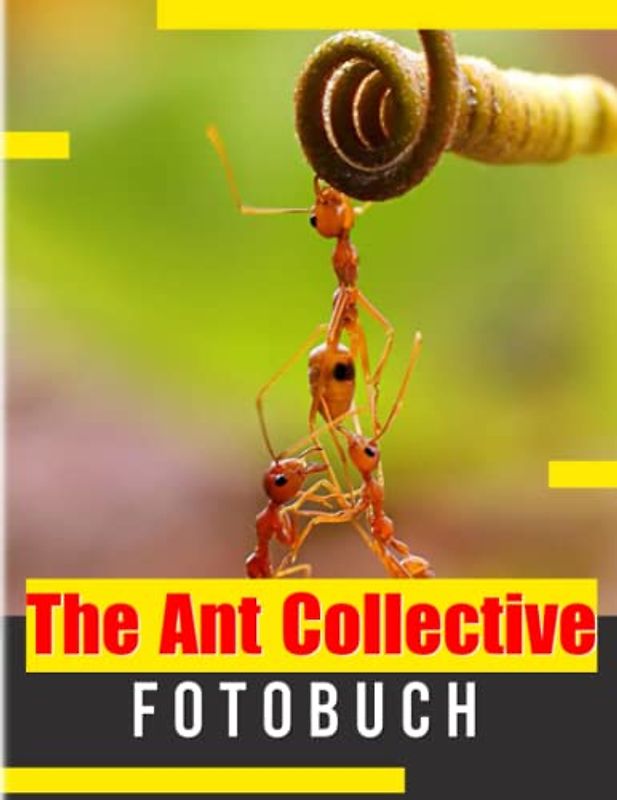 The Ant Collective Fotobuch: Fotoalbum-Sammlung von vielen Ameisen mit 40 Fotos zum Dekorieren und Entspannen | Geschenke für alle Altersgruppen an besonderen Tagen