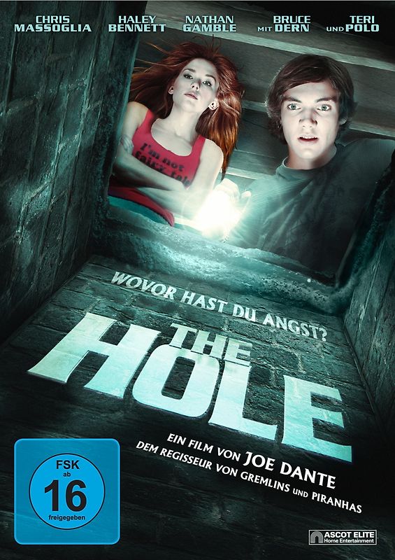 The Hole DVD